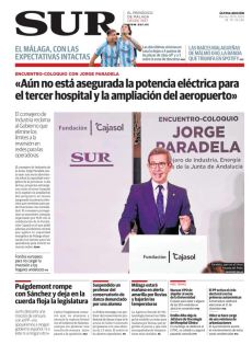 «AÚN NO ESTÁ ASEGURADA LA POTENCIA ELÉCTRICA PARA EL TERCER HOSPITAL Y LA AMPLIACIÓN DEL AEROPUERTO»